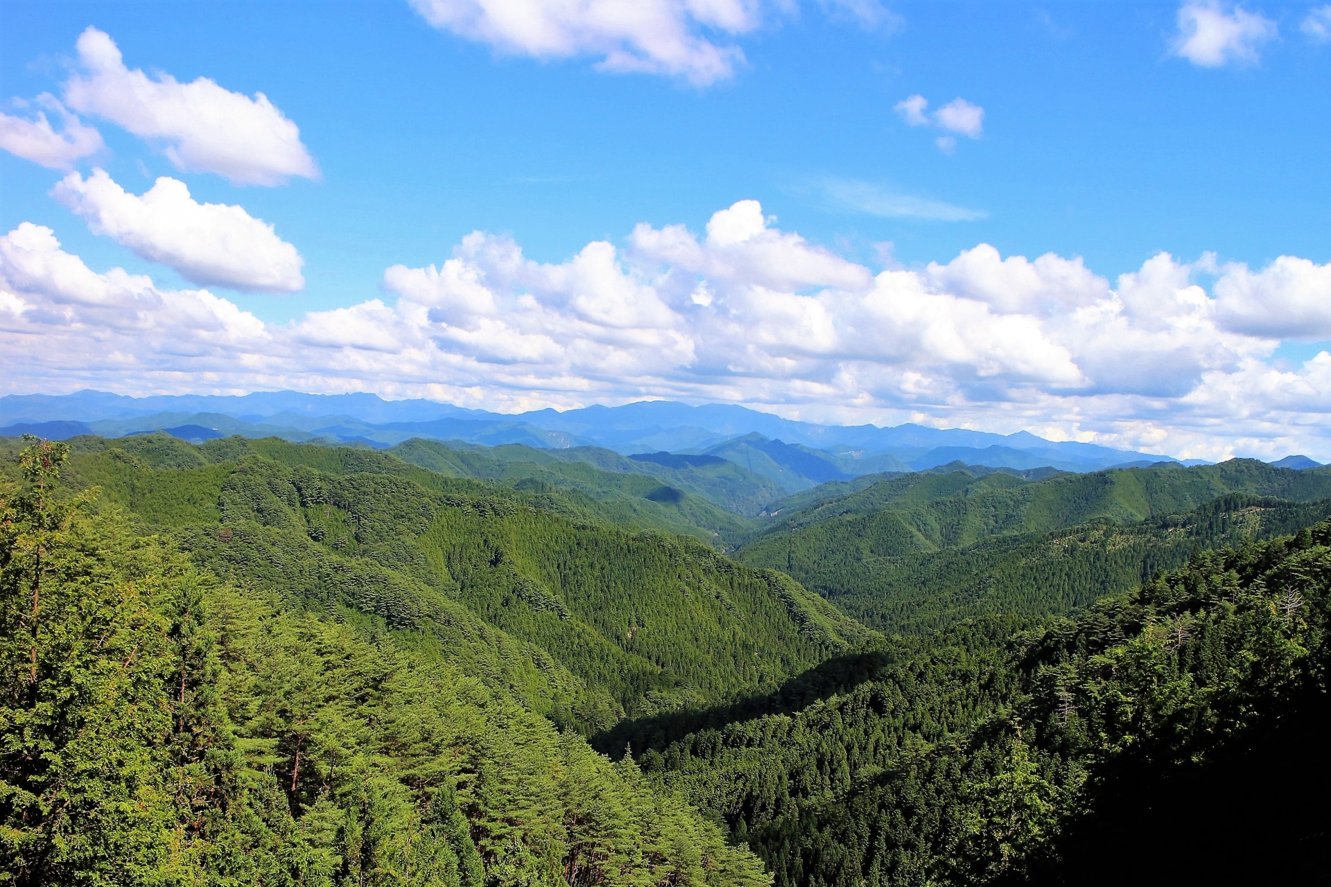 紀伊山地。海も山も近くにある色彩豊かな土地