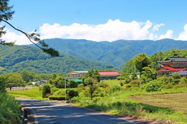 inaka